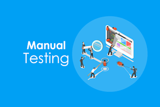 manually test your website for bugs, usability, and performance