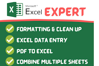 analyze, clean, format, merge, split excel data