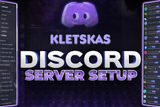 create a professional  stylish discord server setup no custom bots
