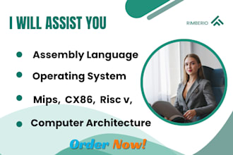computer architecture, mips, x86, assembly language, riscv, and operating system