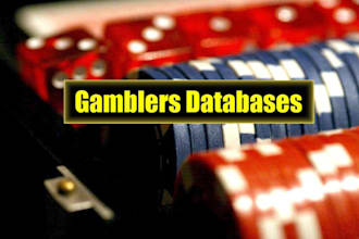 deliver targeted sweepstake players and gamblers contact list