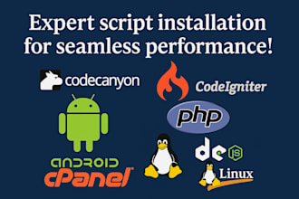 expertly install any script for seamless performance