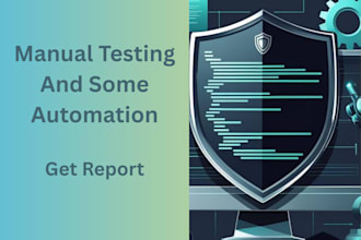 do basic manual penetration testing of website with some automation