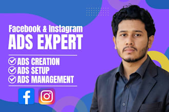 setup and optimize fb and instagram ads campaign