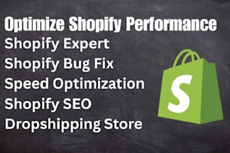 fix shopify bugs errors speed SEO and build shopify store