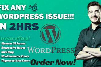 fix wordpress issues fix wordpress website error  fix wordpress website redesign