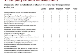 guide you navigate successfully employment in the uae