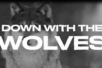 do a custom fast kinetic typography, video explainer, lyrics video, logo design