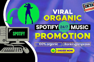 do professional spotify music promotion through ads campaign