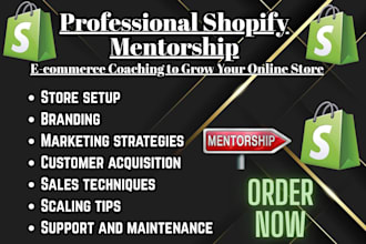 do professional shopify mentorship ecommerce coaching to grow your online store