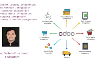 provide expert odoo API integration custom module development