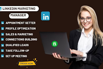 be your linkedin marketing manager, b2b b2c appointment setter