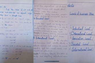 gracefully handwrite any study, documents notes and letters for you