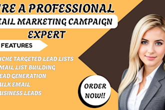 provide niche and active targeted email list bulk email marketing campaign