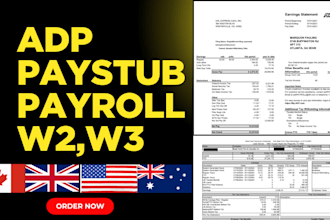 prepare adp paystubs, check stubs, w2 for apartment car loan