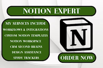 setup integrate aesthetic notion custom workspace pages template, notion expert