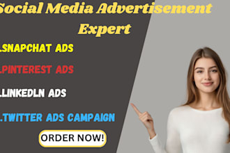 setup snapchat ads pinterest ads linkedln ads and twitter ads campaign