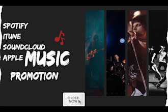 do viral itunes music, apple music, spotify music promotion to active audiences