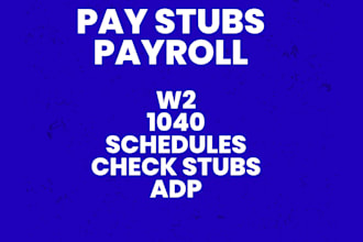 prepare w2, paystub, pay check, stubs, payroll slip