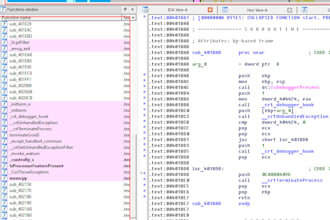 do professional reverse engineering analyze exe, apk, dll, or firmware binaries