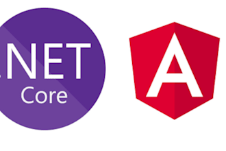 develop a fullstack web app using angular and dotnet