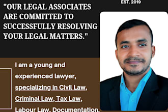 provide expert legal advice and expert legal consultation