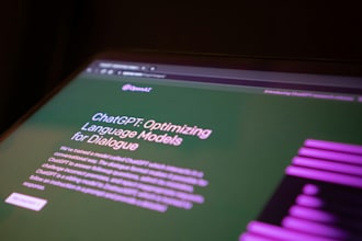 provide professional and custom chatgpt prompt