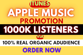 do organic USA apple music promotion, apple music promotion via google ads