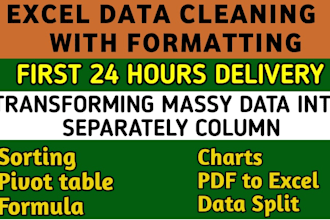excel data cleaning, sorting, formatting, PDF to excel