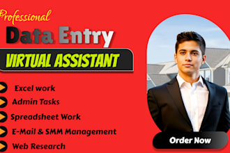 be virtual assistant for data entry and web research