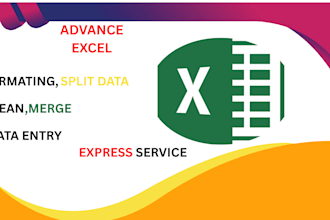 clean, formate, merge, split excel data entry