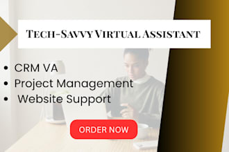 techy savvy virtual assistant for CRM, project management and website