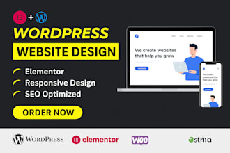 design a professional wordpress business website