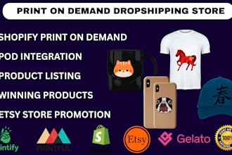 set up shopify etsy pod printify etsy sales stan store