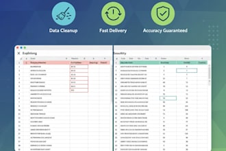 clean and format your excel data