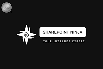 create professionally done sharepoint intranet