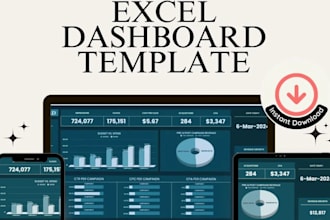 do professional excel spreadsheet data entry formatting