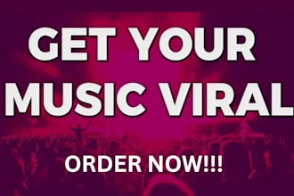 write, publish and promote your music press release, epk design, media kit