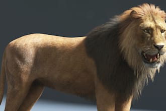 do realistic 3d animal animation, 3d animal model, 3d animal games