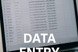 do excel data entry, copy past and convert from pdf