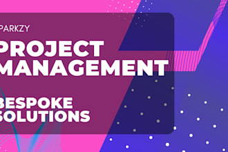 be your pmo and project management consultant for business growth