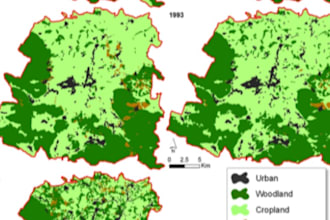 provide professional gis analysis and custom maps using qgis