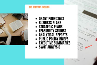 write research on current affairs, grant proposals, and business plans