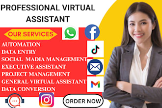 be your shopify virtual assistant, social media manager shopify store manager