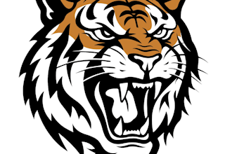 design professional vintage tiger logo for your brand