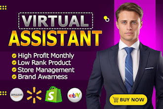 manage your amazon, ebay, walmart, and shopify store as a VA