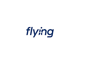 design a unique and professional flying logo for your brand or aviation business