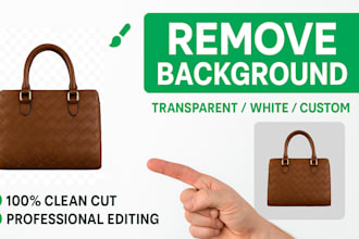 professional manual background removal  24 hour delivery
