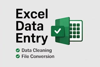 do accurate excel data entry, cleaning, and file conversion