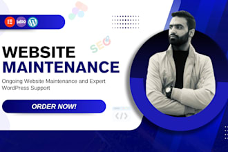 do wordpress website maintenance, support, and fixes